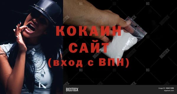 ГАЛЛЮЦИНОГЕННЫЕ ГРИБЫ Покровск