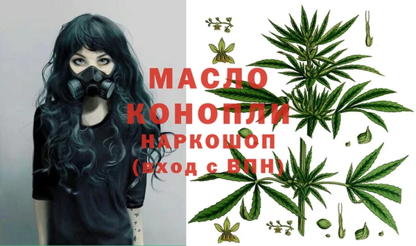 индика Узловая