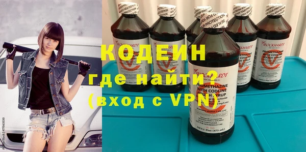 дурь Болотное