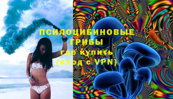 прущие грибы Удомля