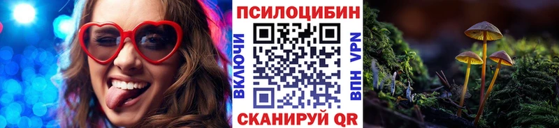 кракен онион  Аша  Псилоцибиновые грибы GOLDEN TEACHER 