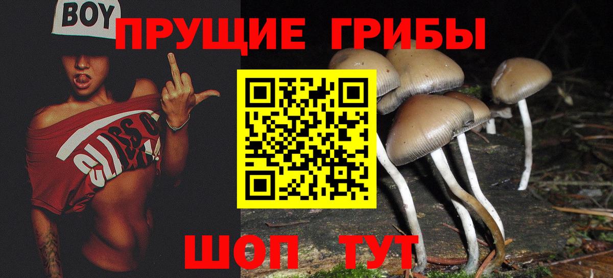 где продают   Вход с VPN  Аша  Галлюциногенные грибы ЛСД  Псилоцибиновые грибы прущие грибы 