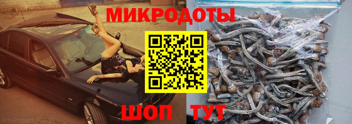 Галлюциногенные грибы мухоморы  Псилоцибиновые грибы Magic Shrooms  Аша 