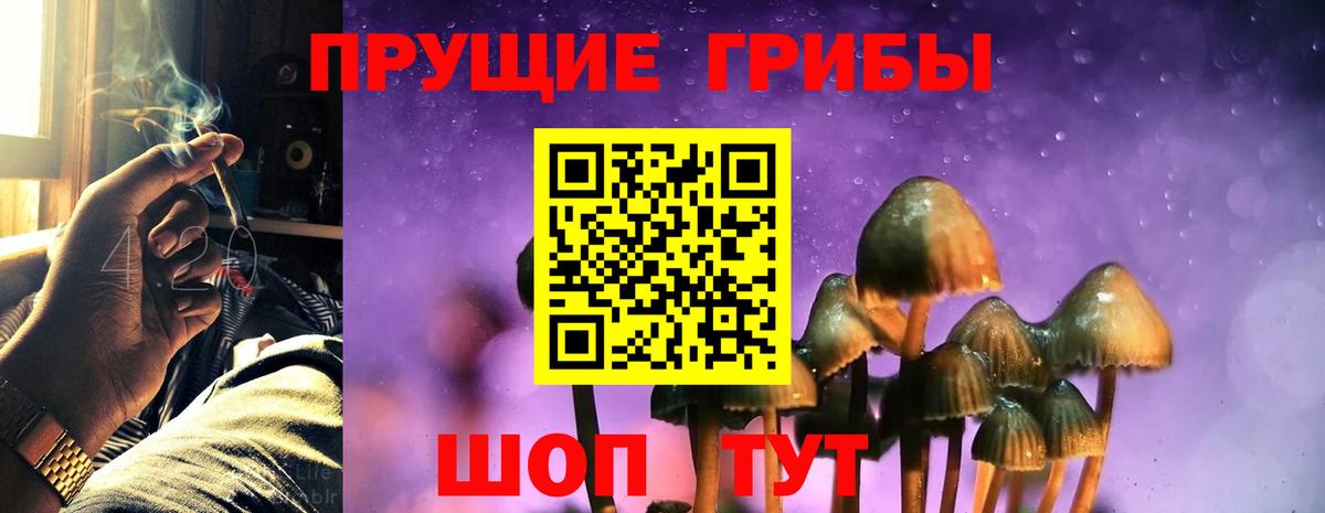 Псилоцибиновые грибы GOLDEN TEACHER Аша